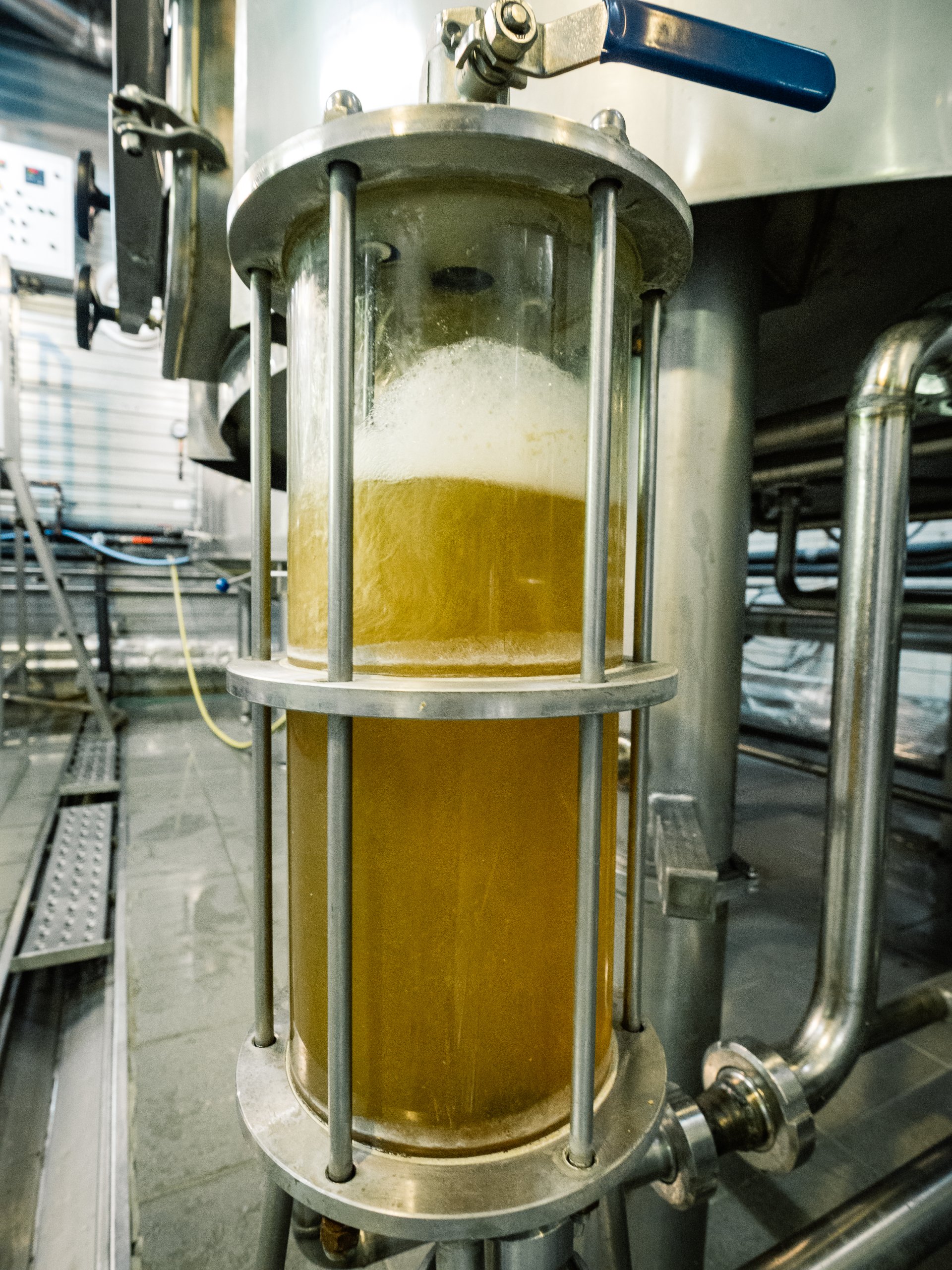 The process of brewing and lightening beer.