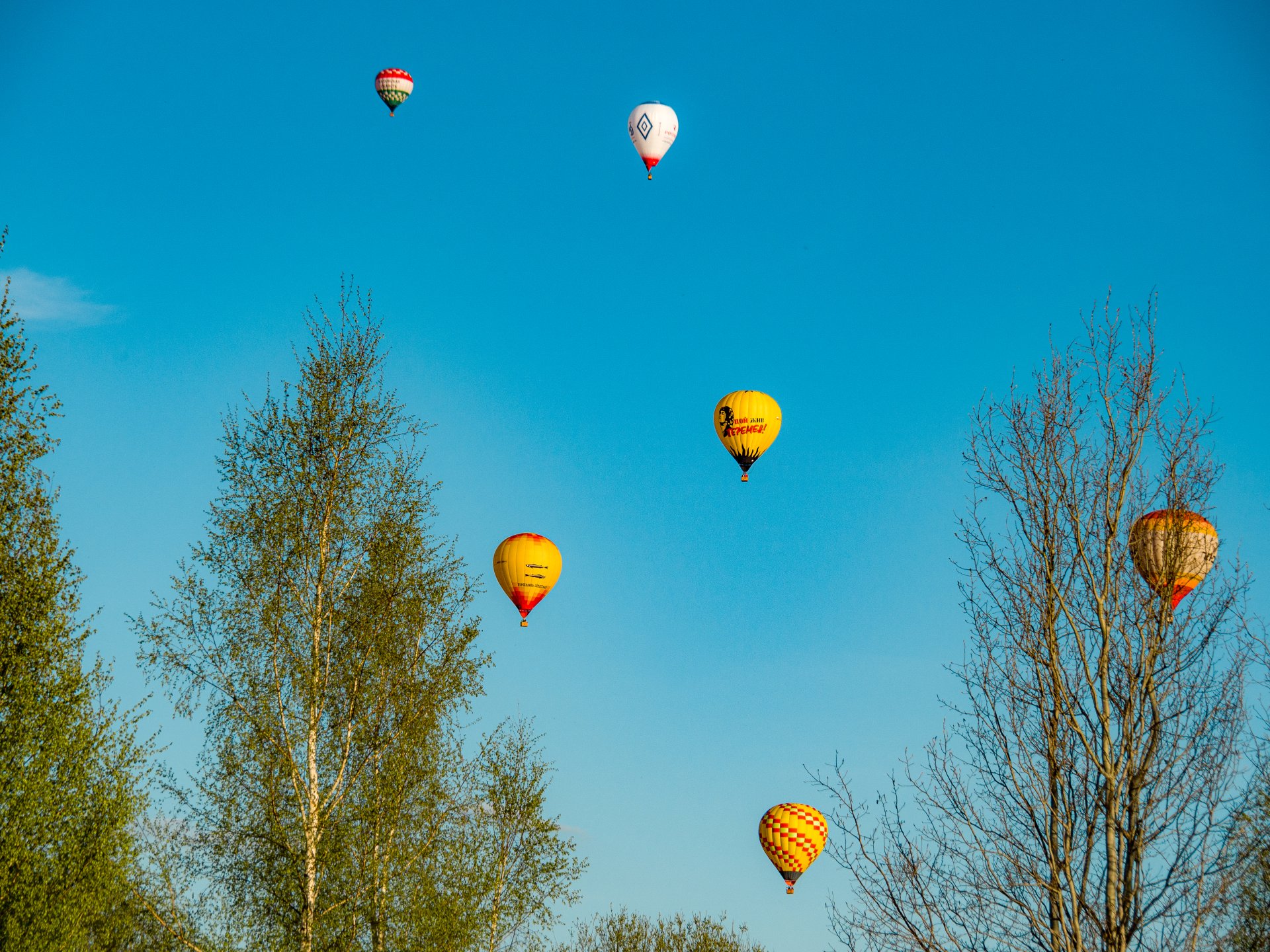 Balloons are gradually moving away from the starting point.