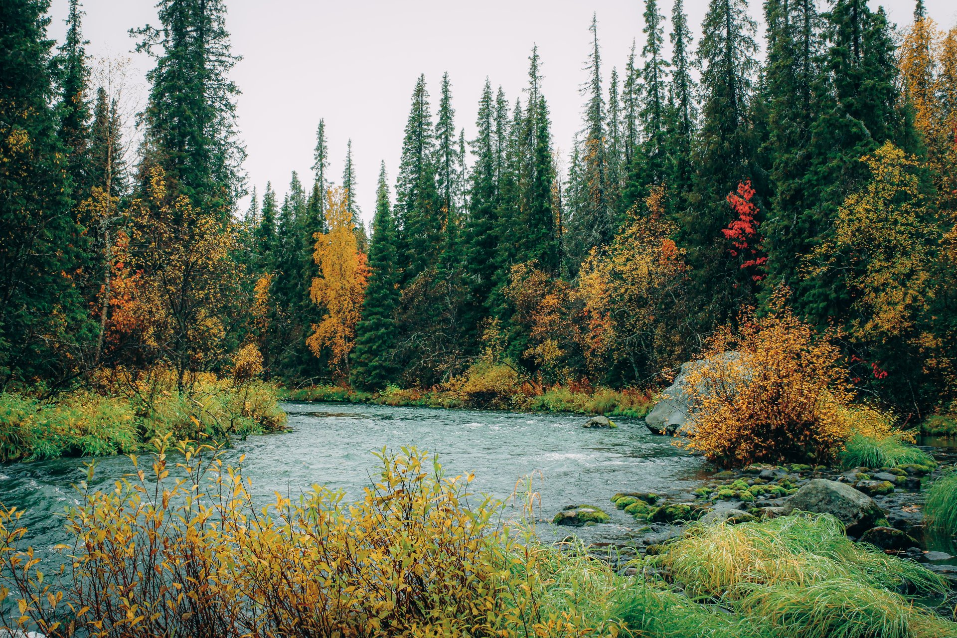 Lovozero Massif. It is home to a large number of wild animals and especially a lot of bears. There is everything for a comfortable living here – lots of fish, berries, clean rivers.