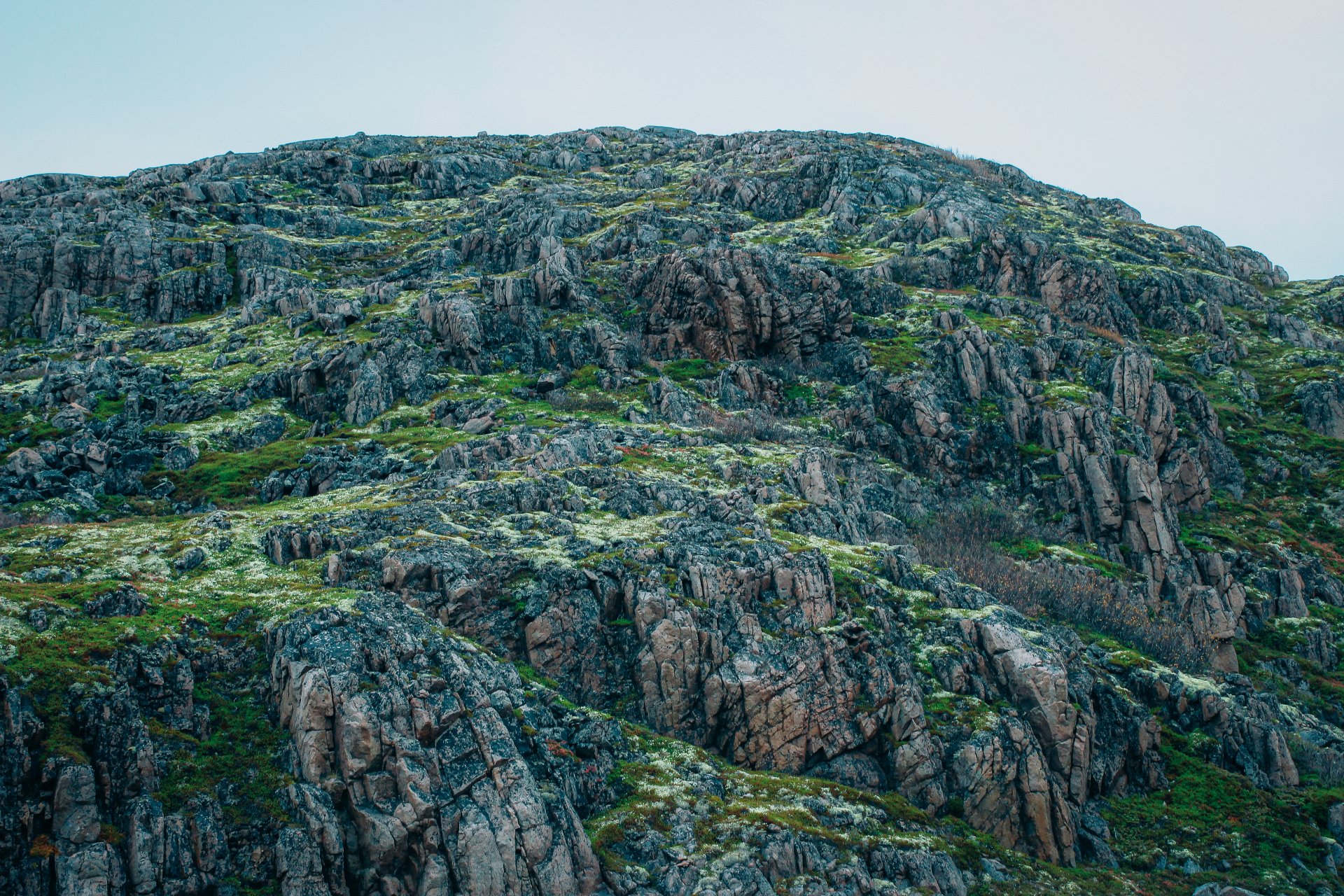 Rocky rocks are abundantly covered with moss and lichens. It is very difficult to walk on such stones.