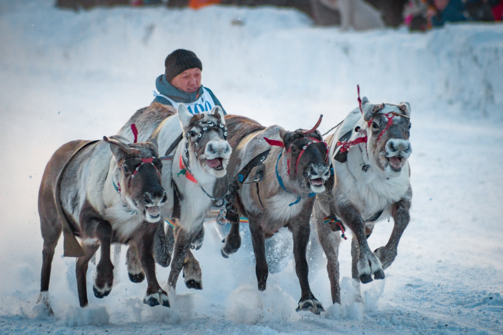 In 2017, the festival was included in the TOP-200 best event activities at the interregional and international level in Russia.