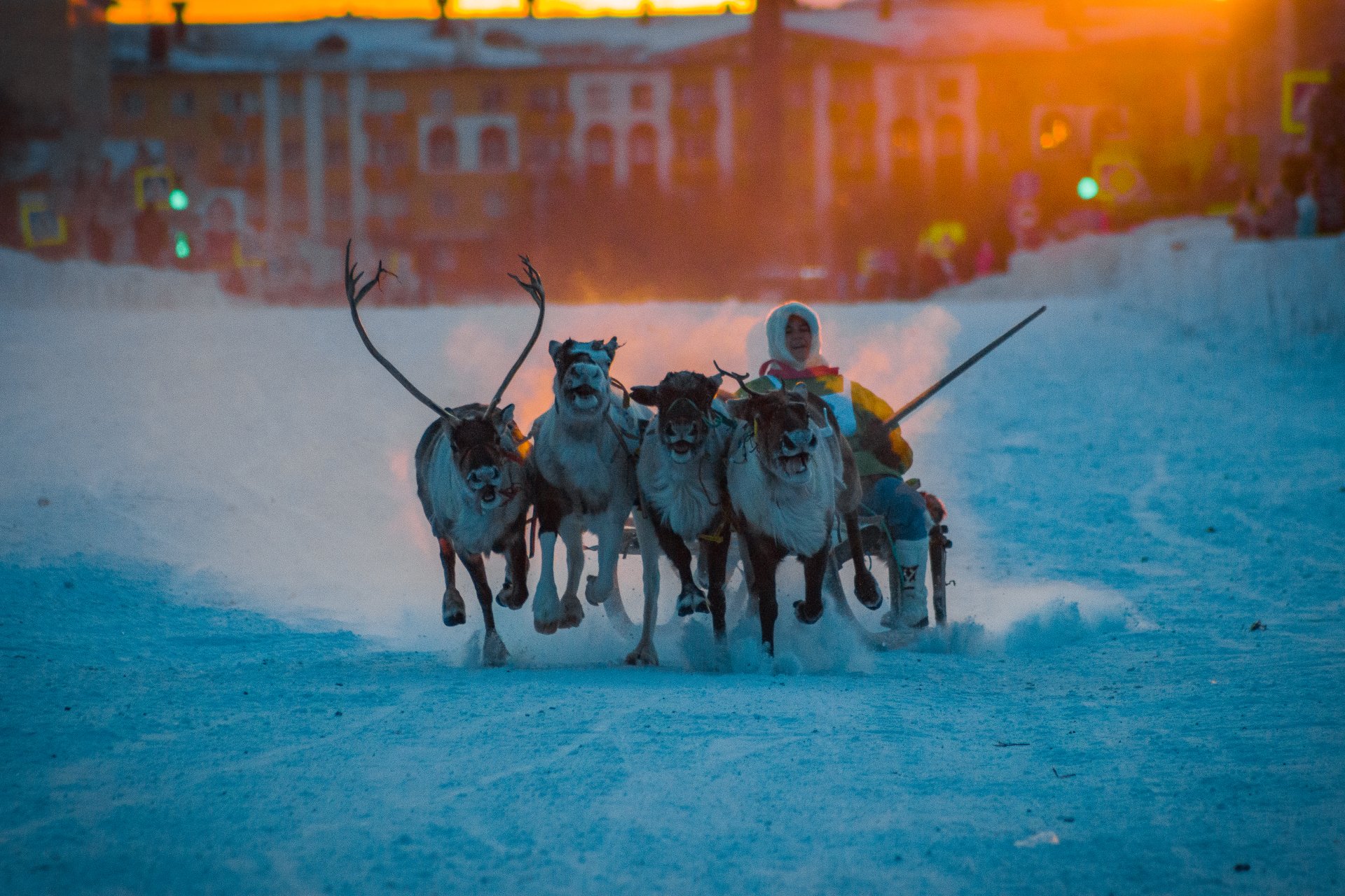 The 'Festival of the North. Reindeer Sledge Races' was first held on November 8, 1998. Initially celebrated as the Day of the Reindeer Herder, bright and colorful, it has become a hallmark of Vorkuta.