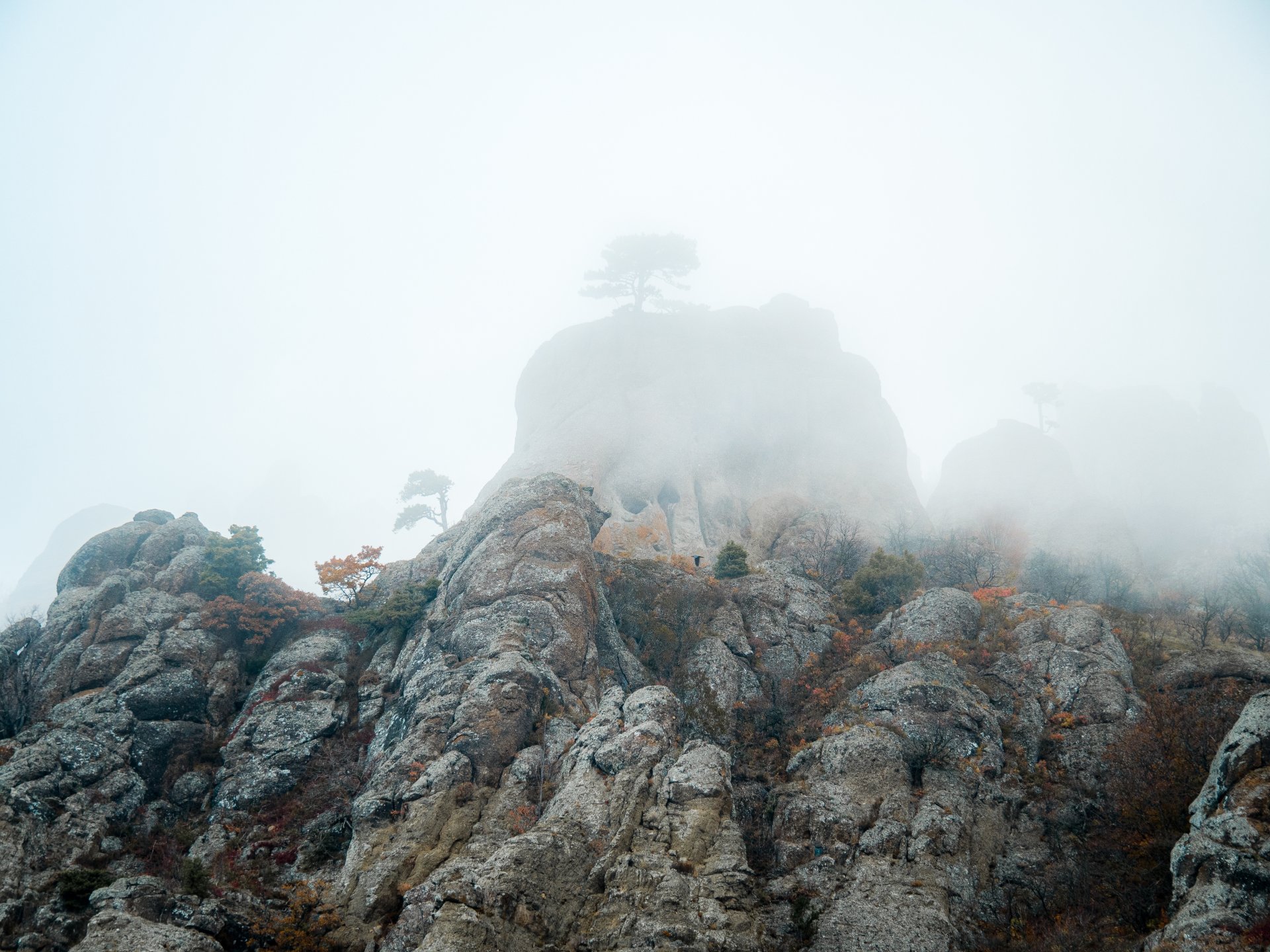 The color of the fog often depends on the density of the cloud that is covering the top of the mountain at that moment.