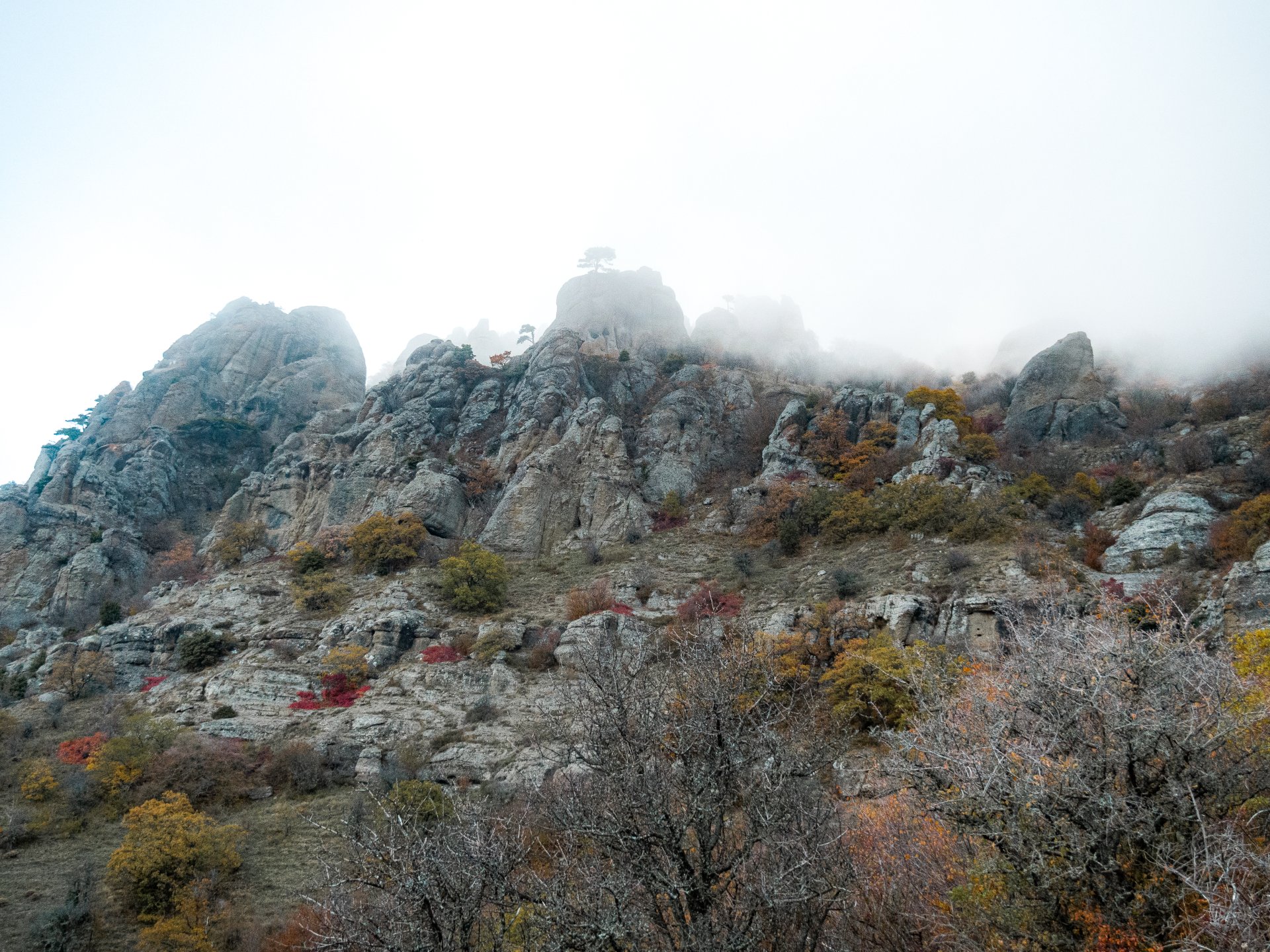 The height of the mountain is 1,356 meters above sea level.