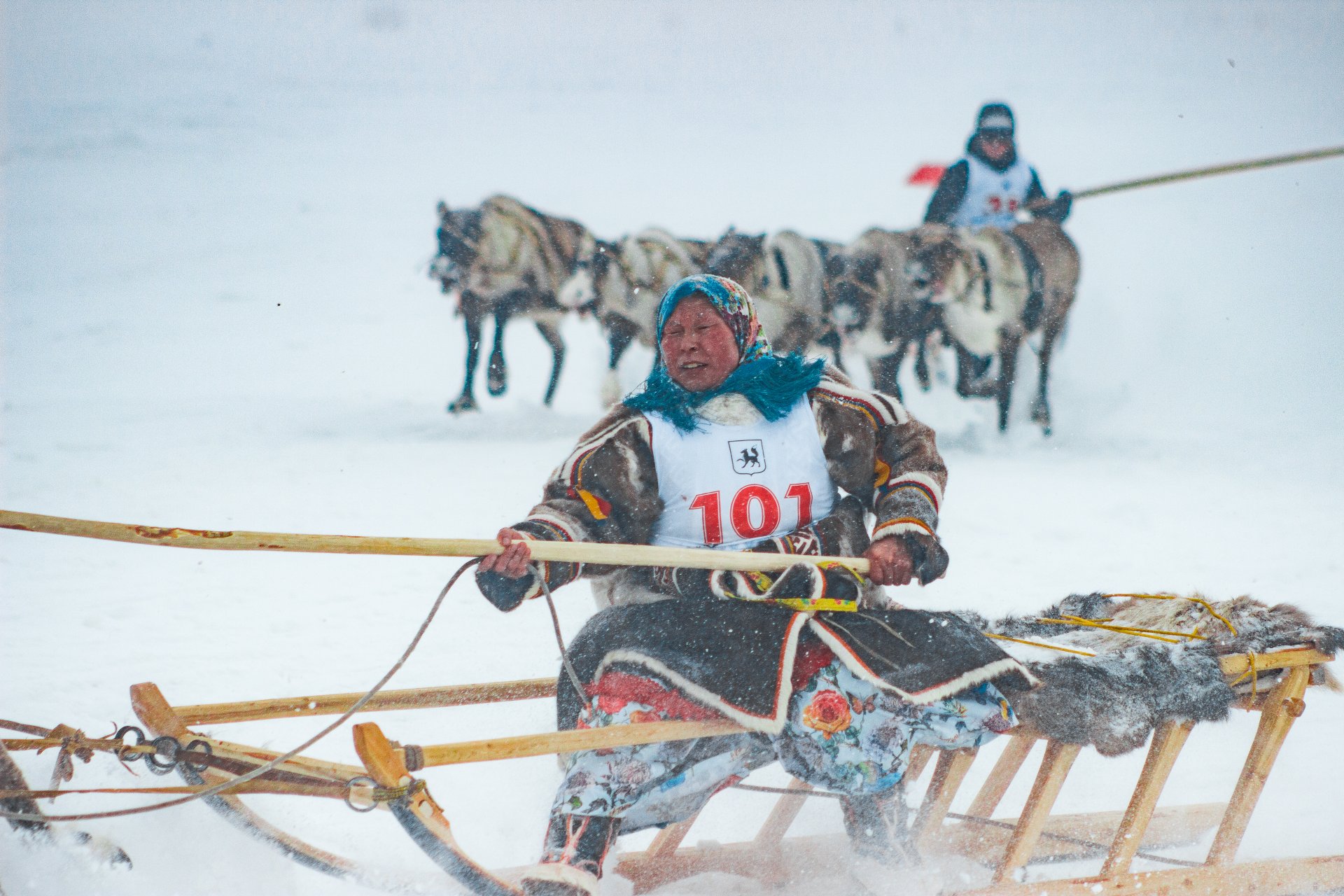 Women’s reindeer sled races.