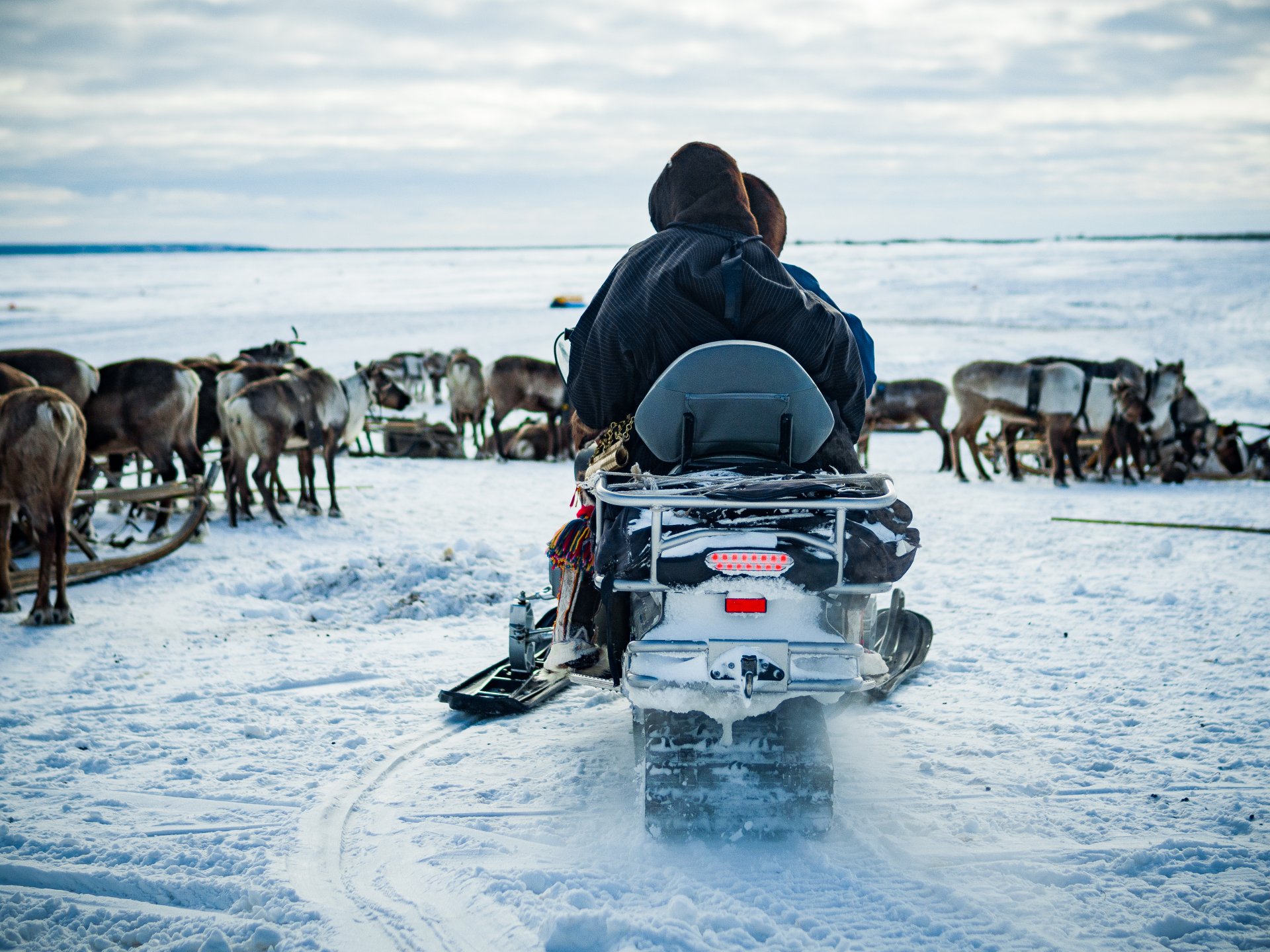 A snowmobile is one of the most important things in the life of any reindeer herder.