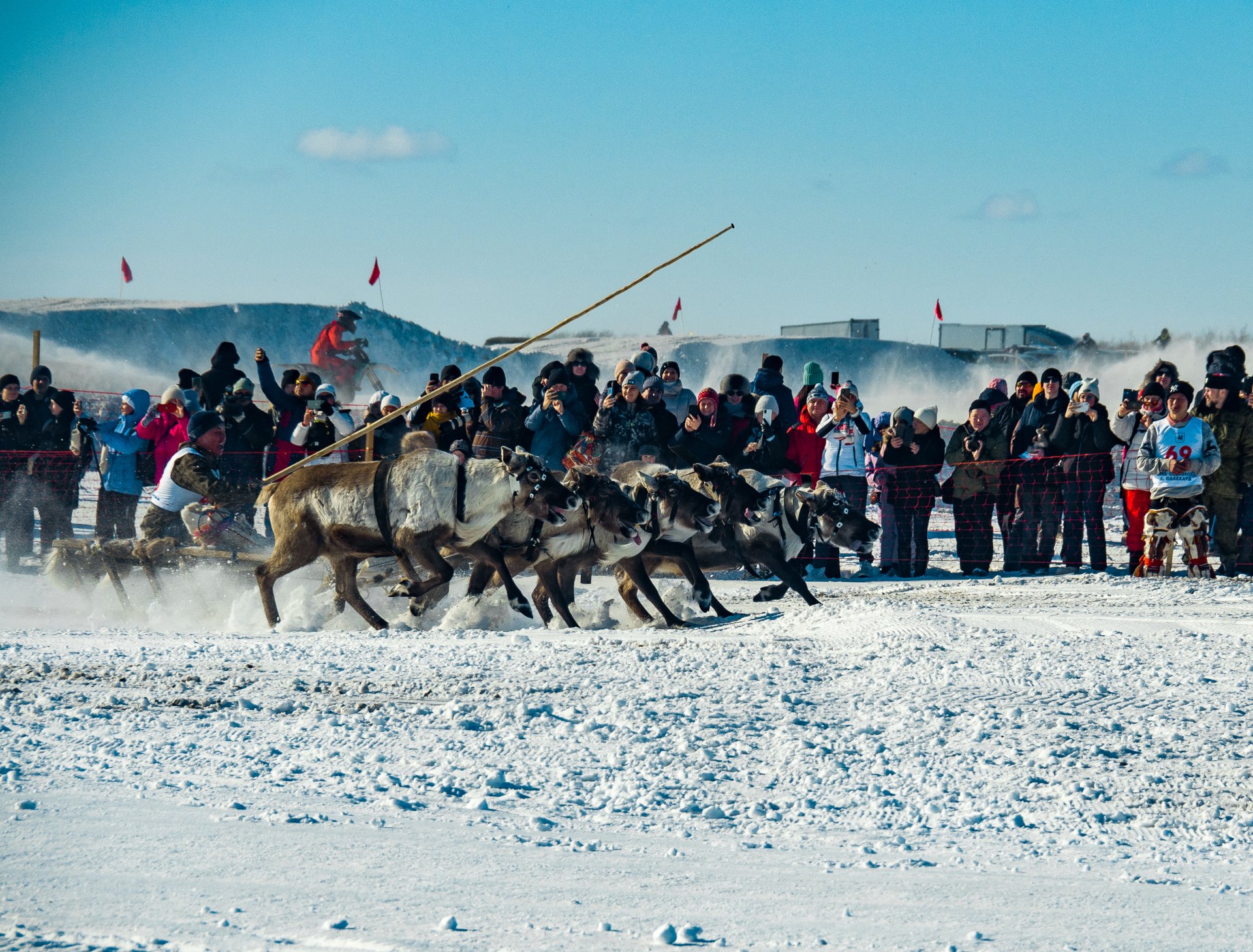 Reindeer sled racer. Men’s competition.