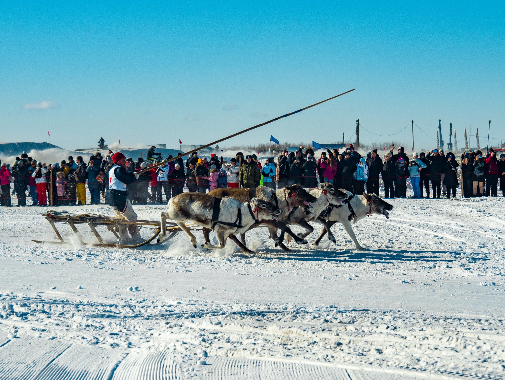 Reindeer sled racer. Men’s competition.