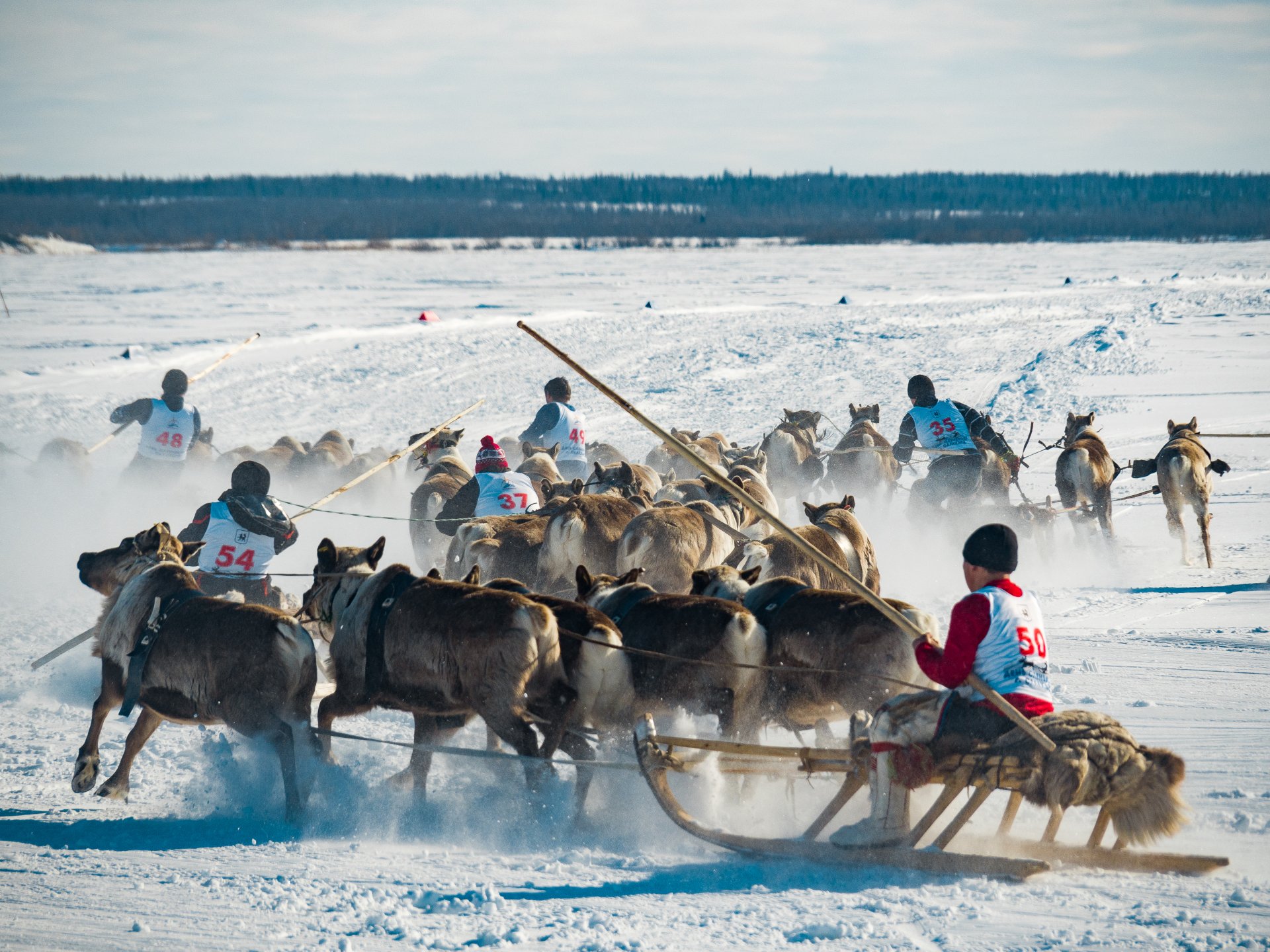 Reindeer sled racer. Men’s competition.