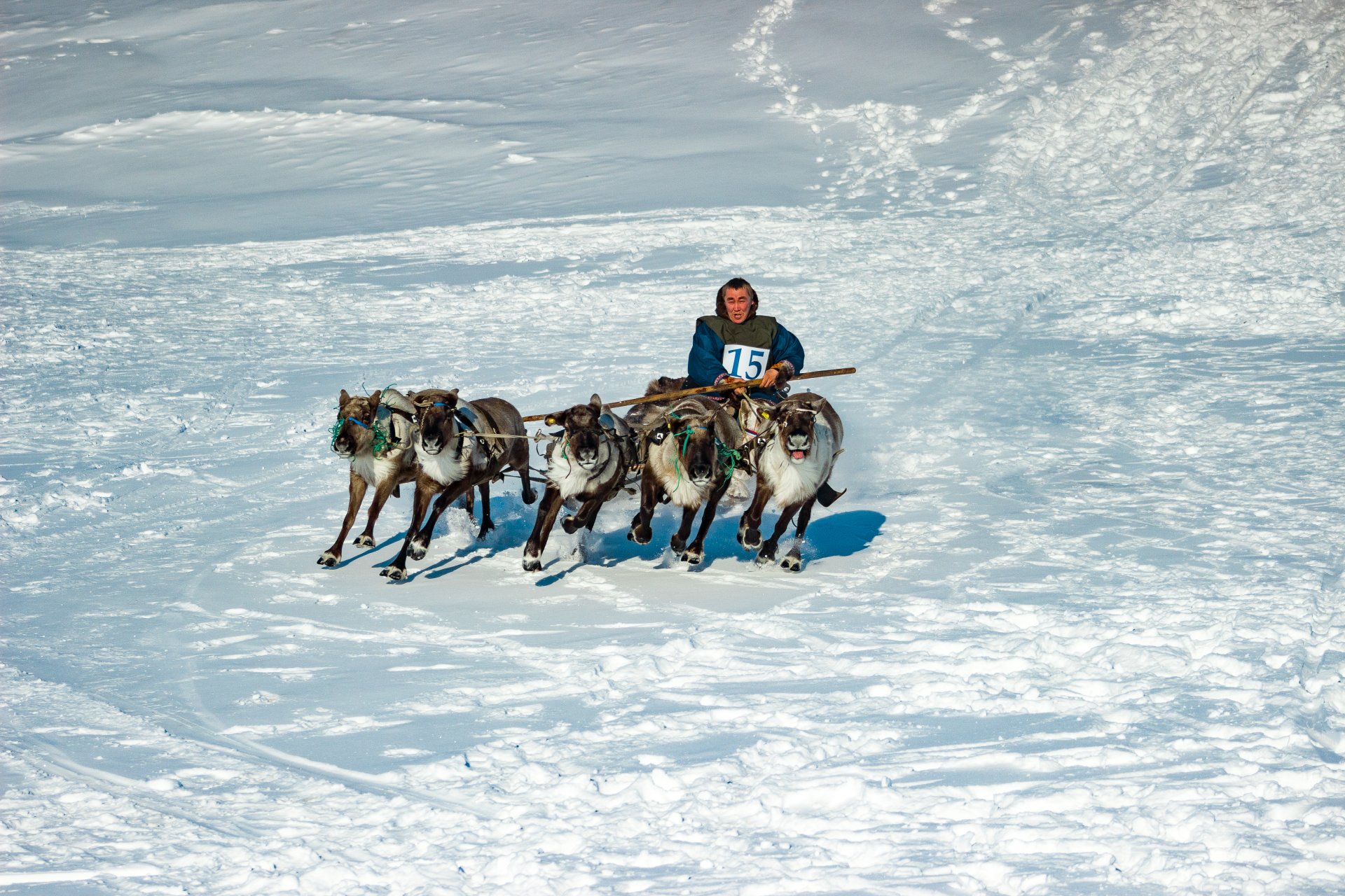 Reindeer herder.