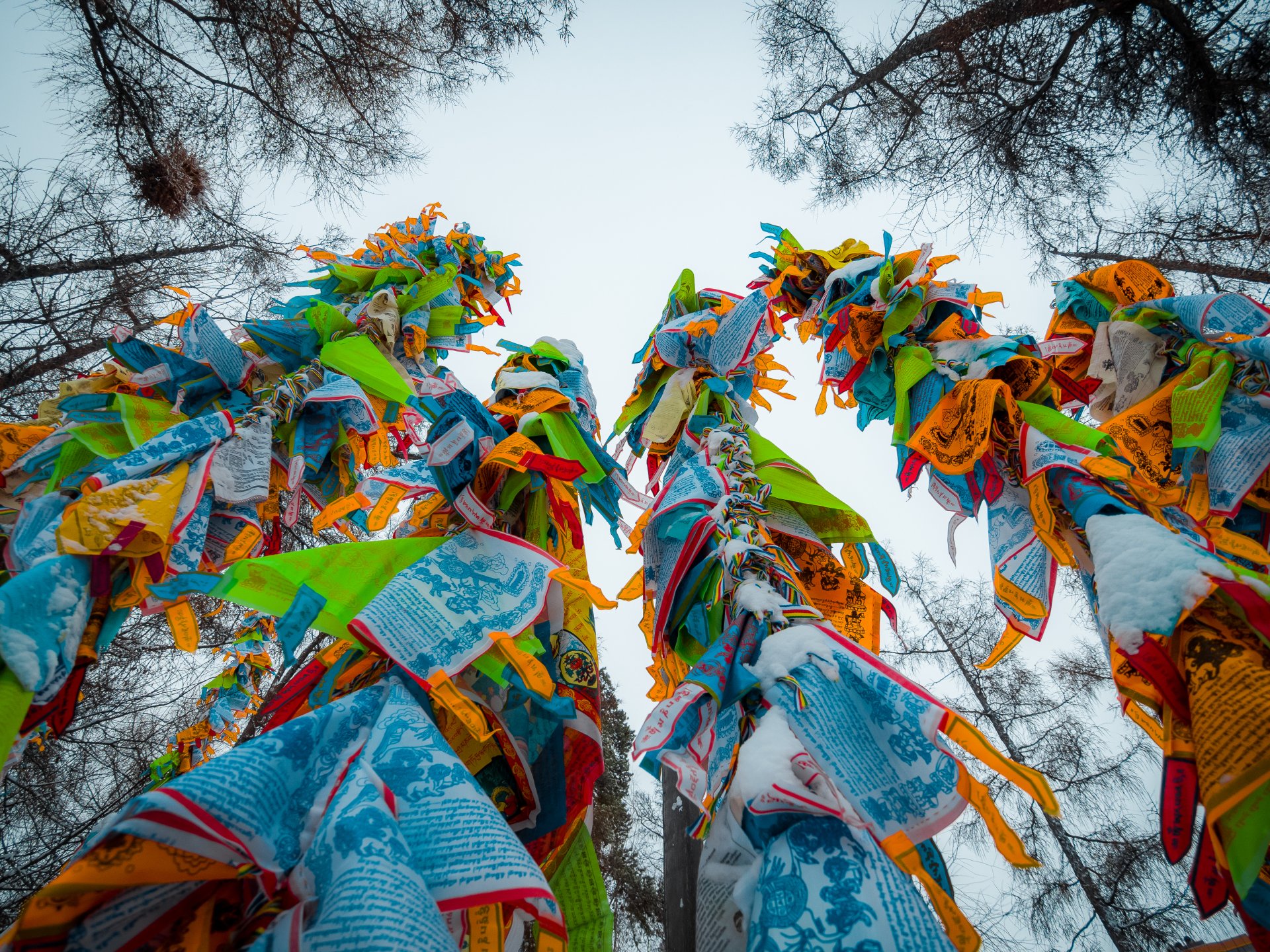 Colored flags that Buryat Buddhists hang on special logs installed in the datsan. It is believed that the higher you hang the flag, the more successful and happy the new year will be.
