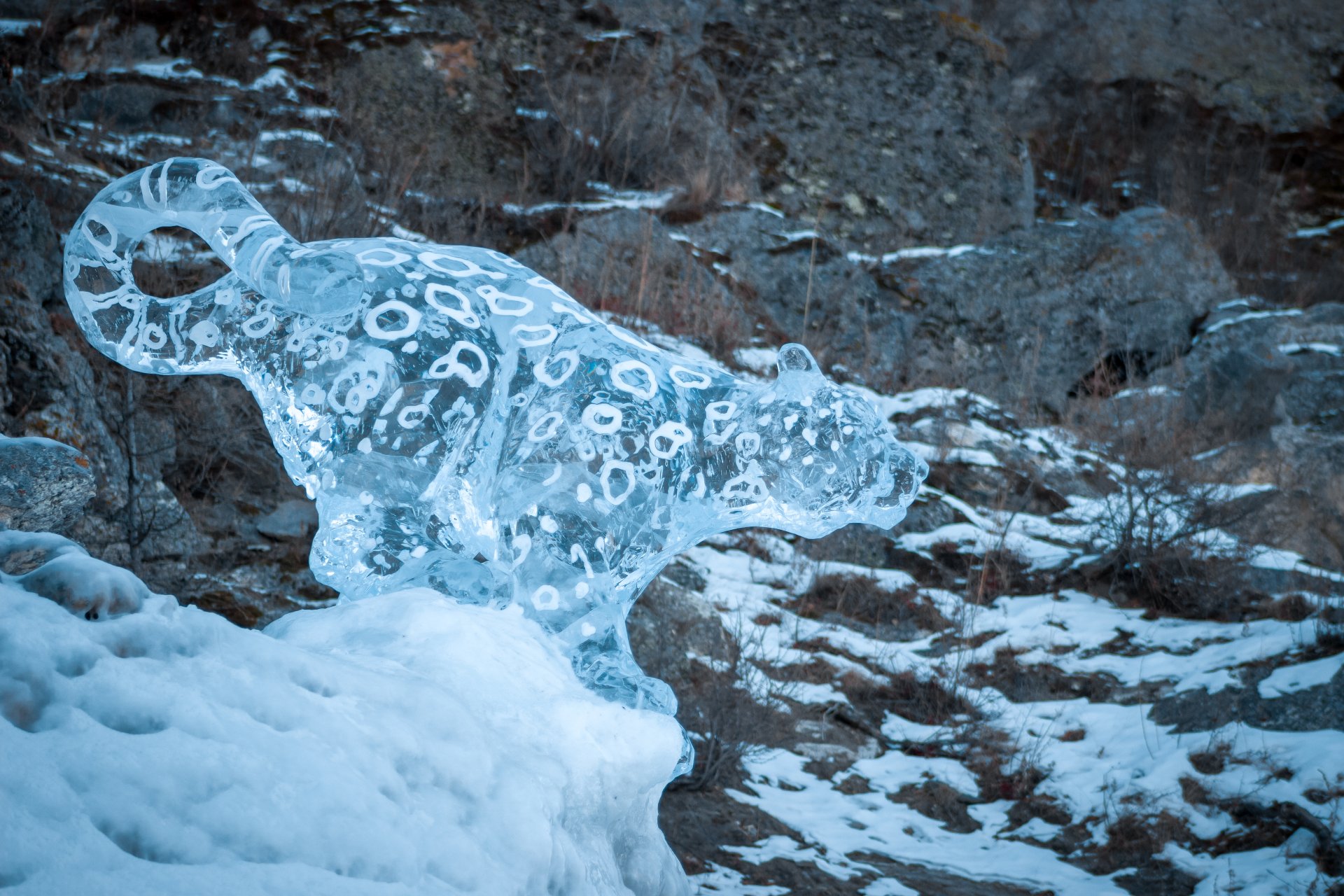 The ice figure of a leopard